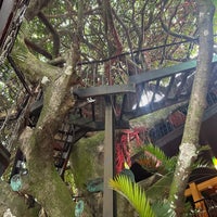 Photo taken at Tree House Restaurante &amp;amp; Cafe by David M. on 7/24/2023
