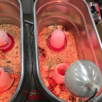 jolly ball horse tractor supply