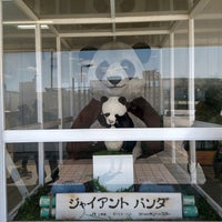 Photo taken at Giant panda by はいめん 敷. on 3/23/2021