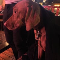 Photo taken at Dog &amp;amp; Duck by Mish M. on 3/23/2018