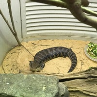 Photo taken at Reptile Discovery Center by Wayne S. on 4/2/2018