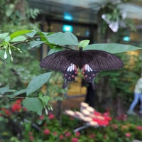 Photo taken at Butterfly Garden by Tess on 3/23/2024
