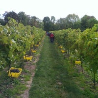 รูปภาพถ่ายที่ Owera Vineyards โดย Jim W. เมื่อ 9/16/2012