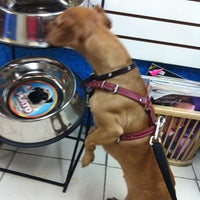 Photo taken at Sporting Dogs Store by T-llito on 9/29/2012