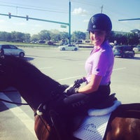 equestrian festival winter