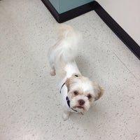 banfield ward parkway