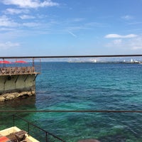 Bistrot Plage French Restaurant In Marseille