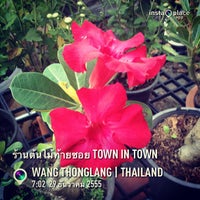 Photo taken at ร้านต้นไม้ท้ายซอย Town in Town by Jang D. on 12/29/2012