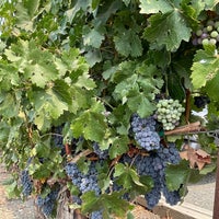 Photo taken at Turnbull Wine Cellars by Flory H. on 8/20/2021