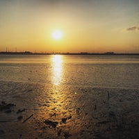 Photo taken at Fujimae Tidal Flat by momo on 3/3/2016