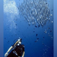 Photo taken at Bunaken National Maritime Park by Carlos F. on 8/16/2019