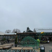 Photo taken at Swansons Nursery by Roger L. on 1/23/2022