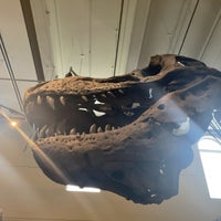 Photo taken at Carnegie Museum of Natural History by koedoyoshida on 5/15/2024
