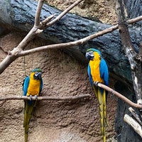 Das Foto wurde bei Henry Vilas Zoo von Paul W. am 10/17/2022 aufgenommen
