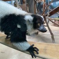 Photo prise au Henry Vilas Zoo par Paul W. le10/17/2022