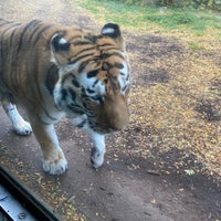 Das Foto wurde bei Henry Vilas Zoo von Paul W. am 10/17/2022 aufgenommen