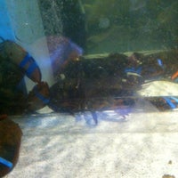 10/6/2012에 Chad C.님이 Red Lobster에서 찍은 사진