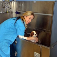 Снимок сделан в Animal Hospital of the Rockaways пользователем Animal Hospital of the Rockaways 12/17/2014