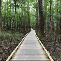 Photo taken at Congaree National Park by Kathleen F. on 6/1/2021