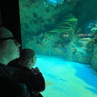 Photo taken at New England Aquarium by Cosmo C. on 2/3/2024
