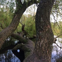 Photo taken at Vondelpark by Lieke B. on 5/2/2015