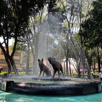 Photo taken at Jardín Centenario by Pecopelecopeco on 11/5/2022