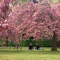 Cerisiers Japonais Parc De Sceaux 4 Tips From 63 Visitors