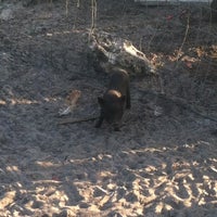 Red Wing Restaurant - 6 tips from 244 visitors