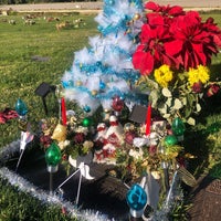 Photo taken at Forest Lawn by Asbed B. on 1/9/2024