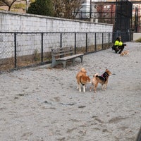 Photo taken at Washington Park Dog Run (JJ Byrne Dog Park) by Mandy M. on 11/23/2019