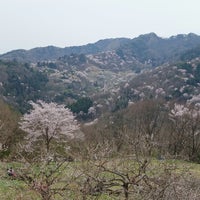 陸郷桜仙峡 Scenic Lookout