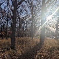Photo taken at La Bagh Woods (Cook County Forest Preserve) by kerryberry on 11/19/2023