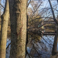 Photo taken at La Bagh Woods (Cook County Forest Preserve) by kerryberry on 11/19/2023