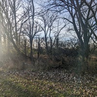 Photo taken at La Bagh Woods (Cook County Forest Preserve) by kerryberry on 11/19/2023