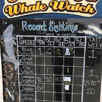 รูปภาพถ่ายที่ San Diego Whale Watch โดย Gil D. เมื่อ 5/30/2017