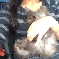 Klinik Haiwan Suria 4 Tips From 75 Visitors