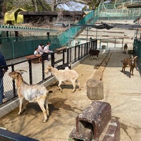 Photo taken at こども動物園 by Tomohiko T. on 3/13/2022