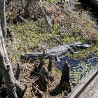 Photo taken at Barataria Preserve by Albert W. on 3/13/2022