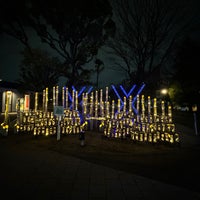 Photo taken at Sumida Park by Naim A. on 1/23/2024