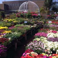 Hashimoto Nursery Garden Center In Los Angeles Photo Taken At Hashimoto Nursery By Suzy R On 4 13 2017