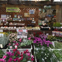 花工場 港北ニュータウン センター南店 Flower Shop In 都筑区 花工場 港北ニュータウン センター南店 Flower Shop In 都筑区