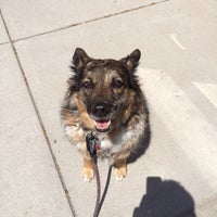 VCA Firehouse Animal Hospital Central Denver 1 tip from 183