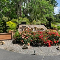 รูปภาพถ่ายที่ Disney&amp;#39;s Oak Trail Golf Course โดย Bradley B. เมื่อ 4/24/2022