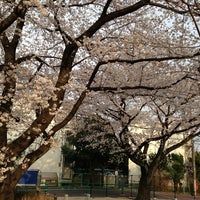 和田さくらの坂公園 杉並区 Da Park 和田さくらの坂公園 杉並区 Da Park