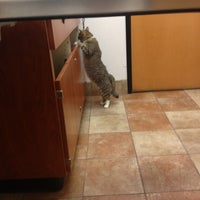 banfield waterford lakes