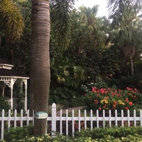 7/15/2016にAmanda G.がBusch Gardens Tampa Bayで撮った写真