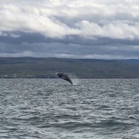 Photo taken at North Sailing Whale Watching by Dinos C. on 8/5/2017