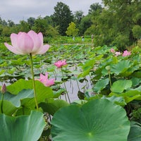 Photo taken at Kenilworth Park and Aquatic Gardens by Liz C. on 7/15/2023