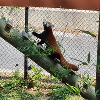 Photo taken at Virginia Zoo by Liz C. on 7/20/2023