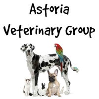 Photo taken at Astoria Veterinary Group by Astoria Veterinary Group on 12/23/2014